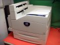 Xerox Phaser 5500 5500DN Tabloid duplex 50ppm Net Printer